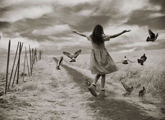 Little girl playing with pigeons in field []