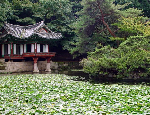 Changdeokgung Palace [Abrp722]