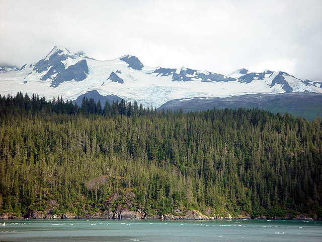 College Fjord, Alaska [Abrp722]