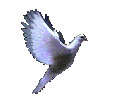 ��� [�������� Google]