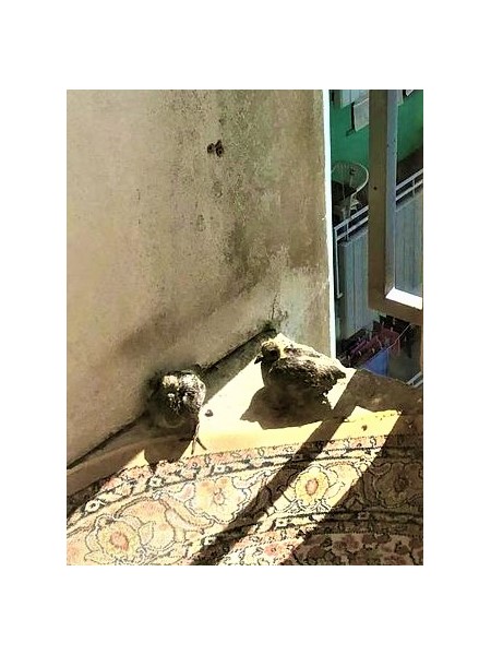  []