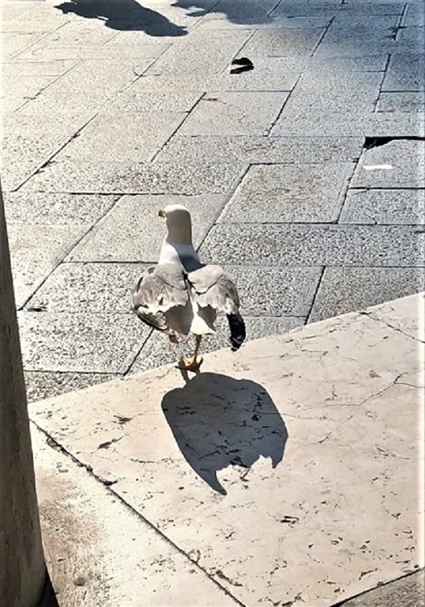  []