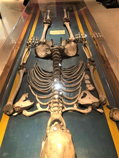 []