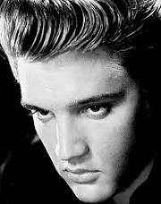 Elvis Presley [internet]