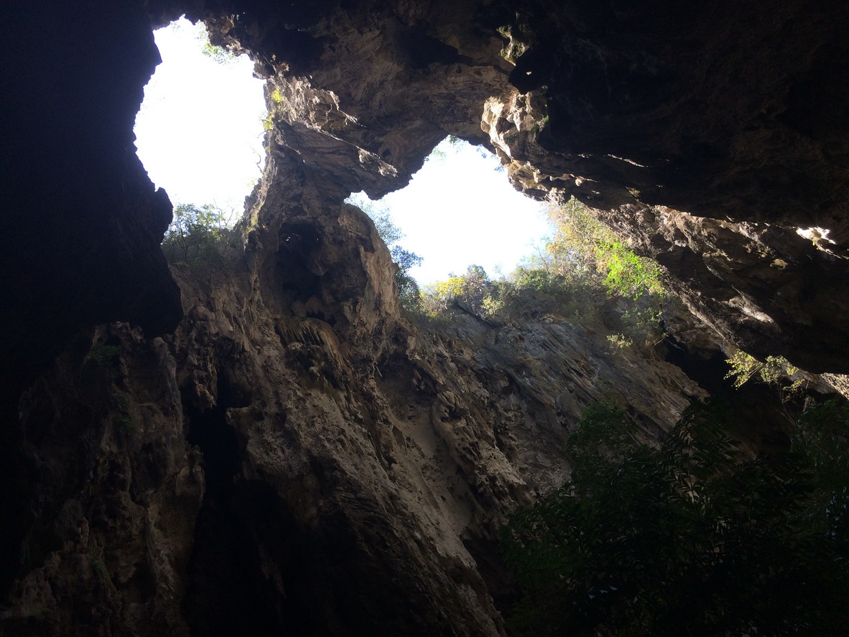 пещера короля  []
