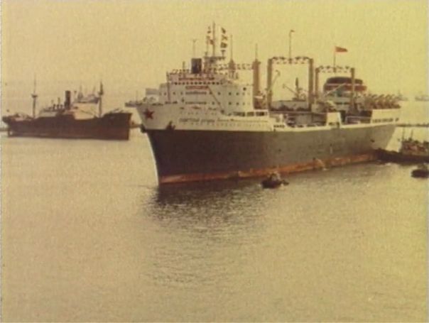 Одесса, порт,  китобойная флотилия  